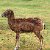 23.05.2013 - wizyta w Kadzidłowie w Parku Dzikich Zwierząt (Safari Park)
